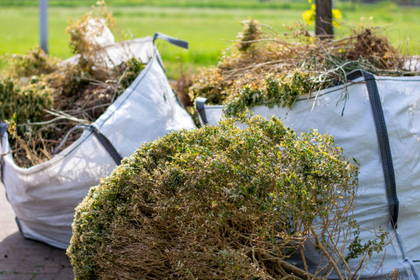 Best Electronics Removal Services  in Meyersdale, PA
